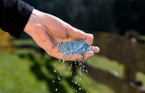 granular lawn fertilizer in hand