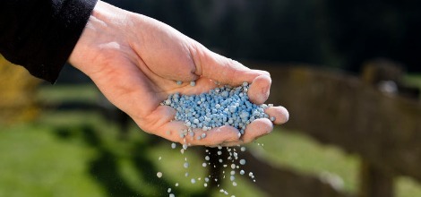 Pond Maintenance Service in Cedar Valley